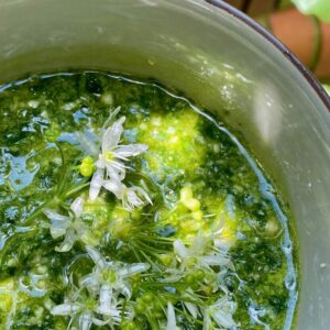 pesto herbs